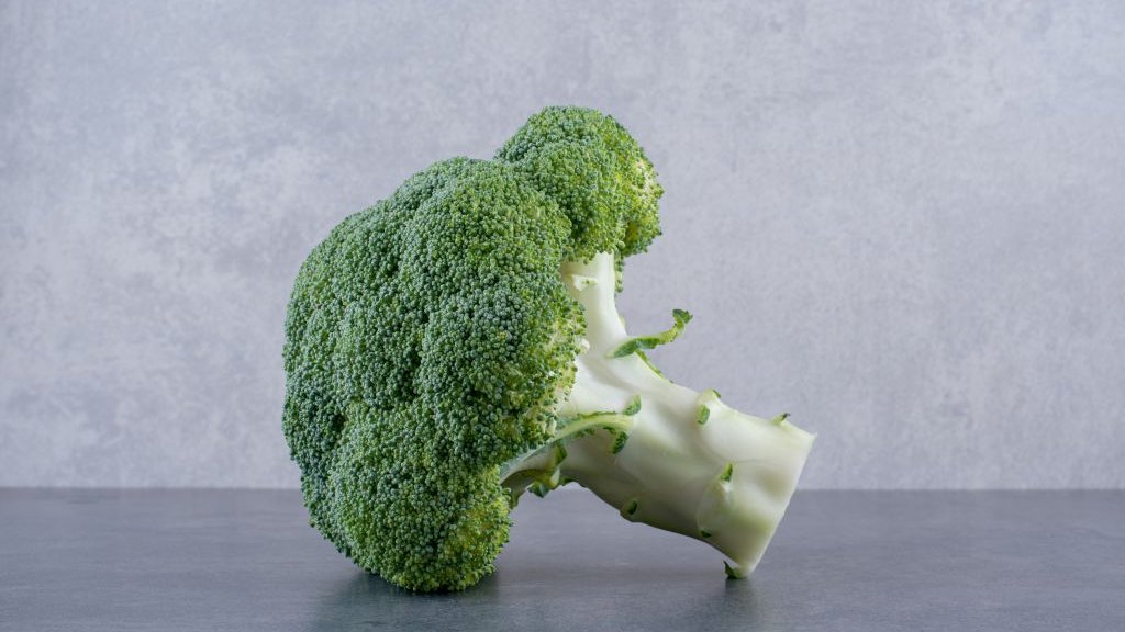 ����������&nbsp; 40 ����� ����� ��������: ���� ������� ������, ��� ������� �������� ����������� ��������