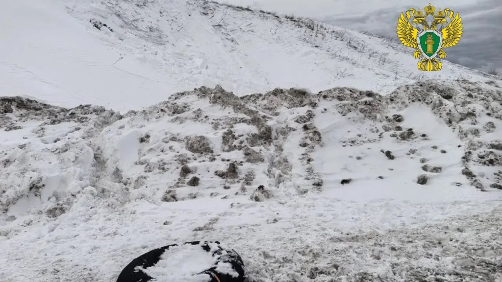 ����&nbsp; ����� ������� � ��������� ���� ��-�� ����� ����� (����)