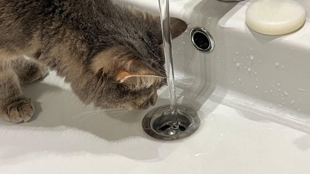 Глава Первоуральска заявил о восстановлении водоснабжения