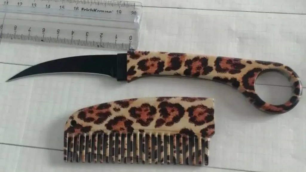 Екатеринбурженка пришла в суд с ножом в расческе (ФОТО)