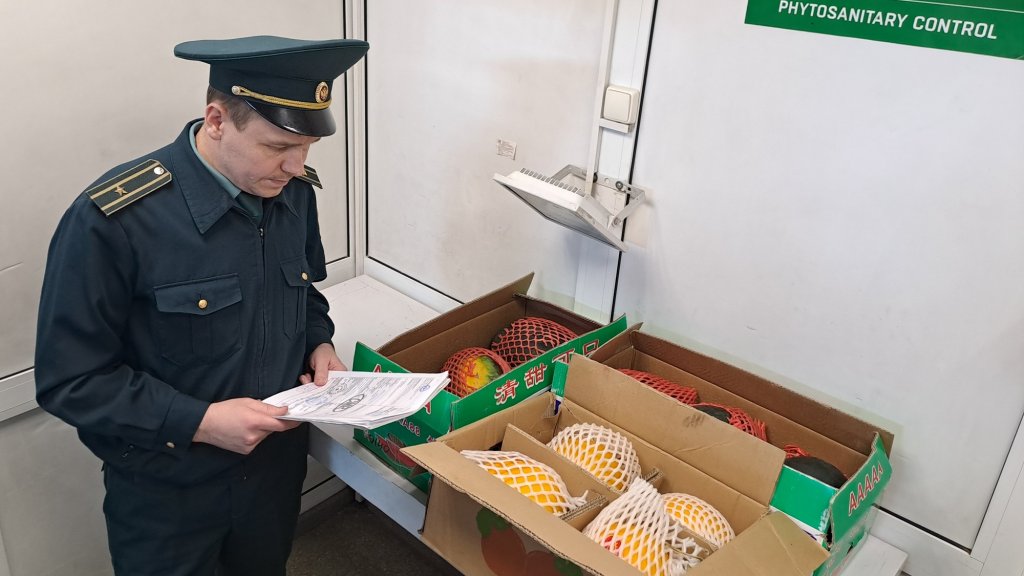 В&nbsp; Екатеринбург привезли арбузы и дыни из Китая