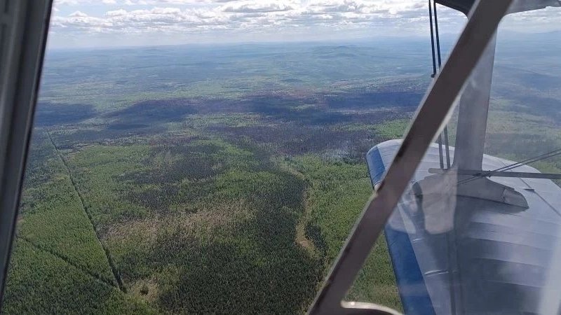 Крупный&nbsp; лесной пожар в Ивдельском районе потушен