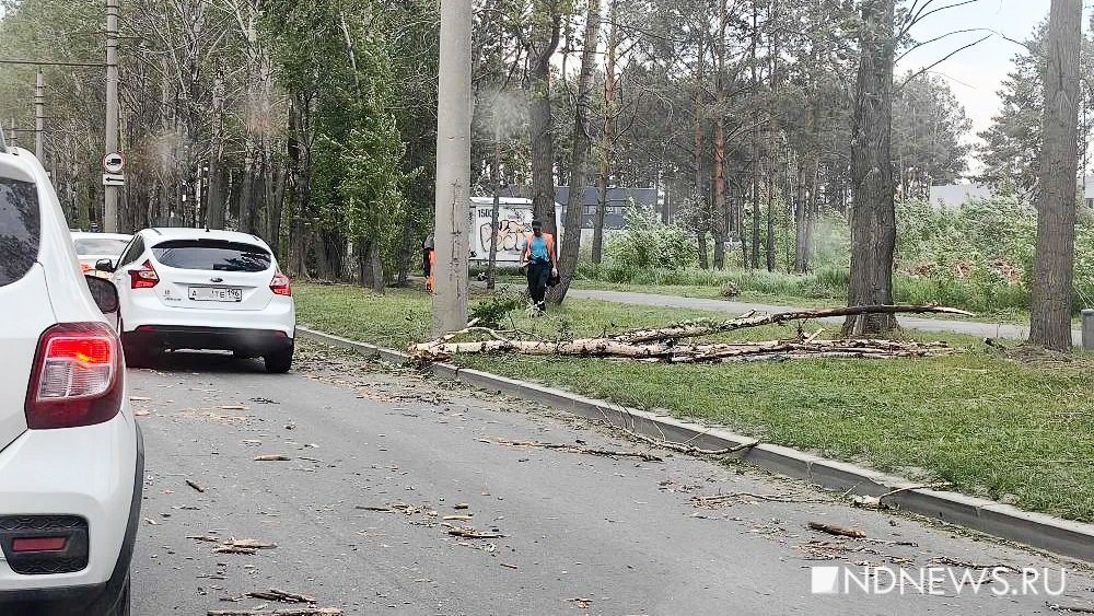Погода в Екатеринбурге стремительно ухудшается, на юго-западе прошел ураган