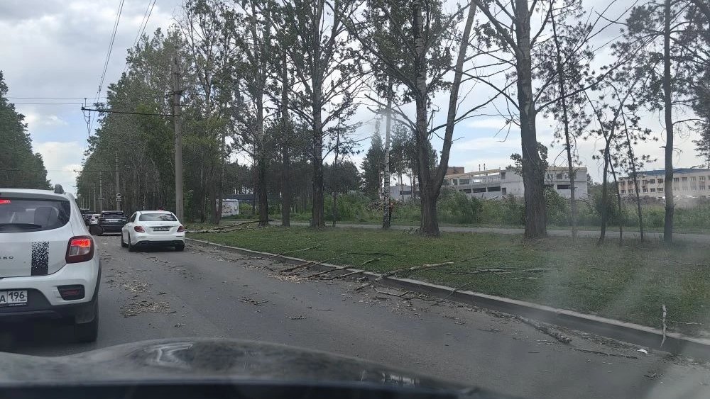 В Екатеринбурге шквалистый ветер повалил забор на прохожего