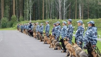В Екатеринбурге пройдет турнир по поиску наркотиков и оружия