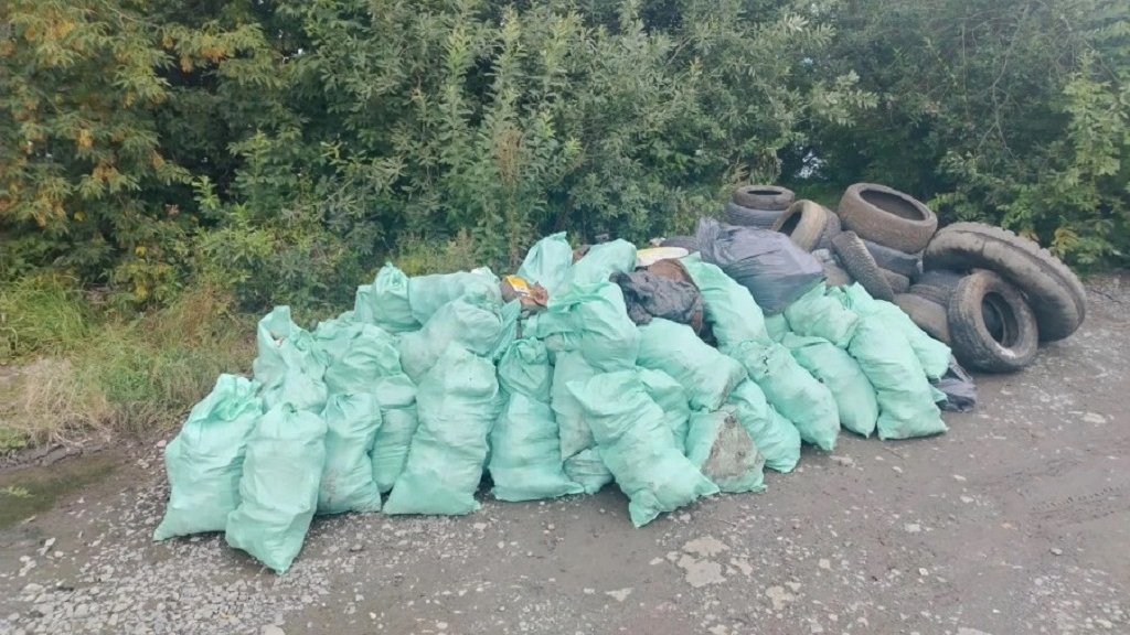 На берегу Верх-Исетского пруда собрали более 4 тонн мусора