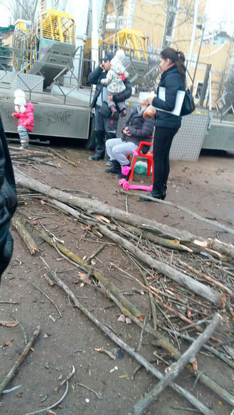 В омске упало дерево. Упало дерево на женщин. Упало дерево на женщин. Упало дерево на сочинской. Фото обваливающиеся дерево.