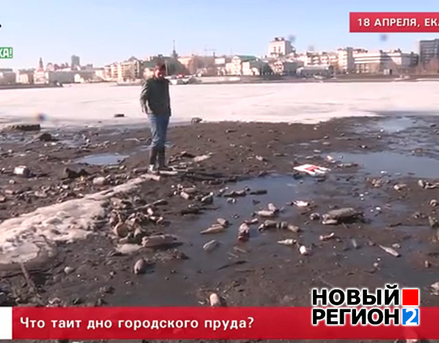 Новый Регион: Городской пруд Екатеринбурга превратился в огромную свалку: дно водоема покрыто тоннами мусора (ФОТО, ВИДЕО)