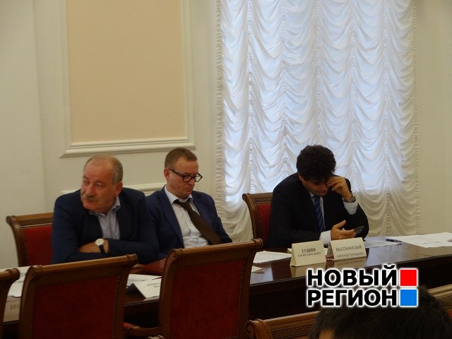 Новый Регион: Общественная палата Екатеринбурга готовит обращение к Куйвашеву и Паслеру (ФОТО)