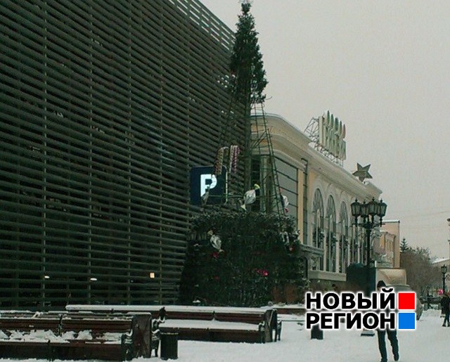Новый Регион: В районах Екатеринбурга начали устанавливать новогодние елки (ФОТО)