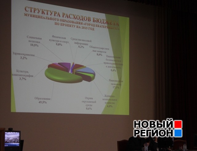 Новый Регион: Горожане одобрили бюджет выживания Екатеринбурга (ФОТО)