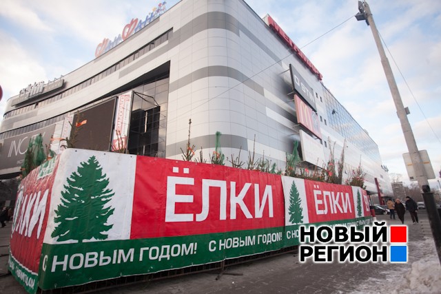 Новый Регион: В Екатеринбурге массово открываются елочные базары: метр елки доходит до 3000 рублей (ФОТО)