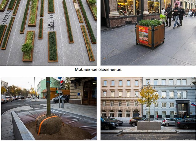 Новый Регион: Мэрия Екатеринбурга рекомендует: деревья в кадках, пупырчатые столбы и скругленные прямые углы (ФОТО)