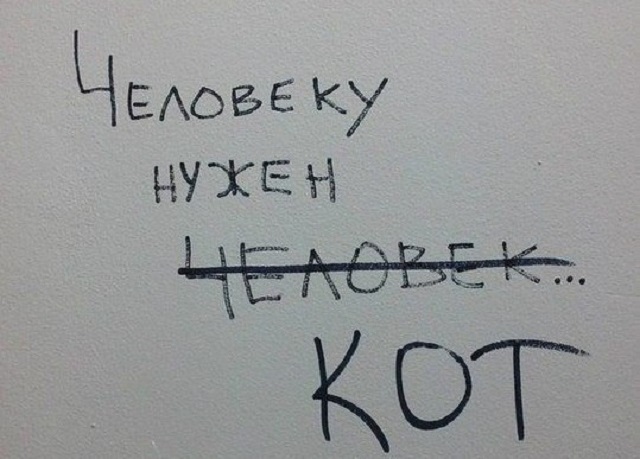 И для кота будет польза мы его thumbnail