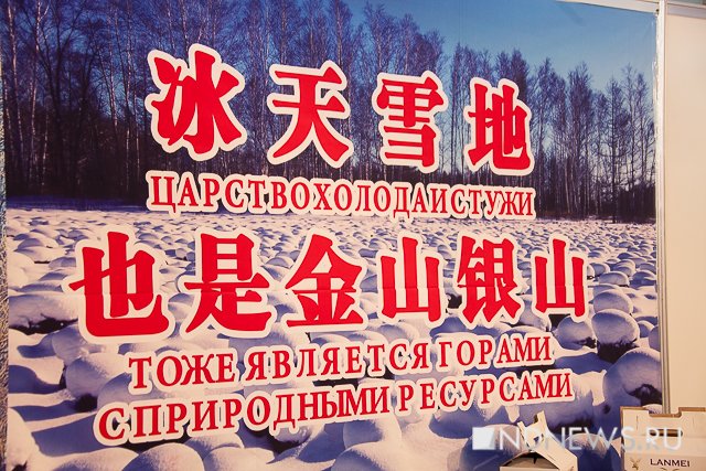Новый Регион: Китайцы привезли на Иннопром прокладки, пиво, доширак и искусственное мясо (ФОТО)