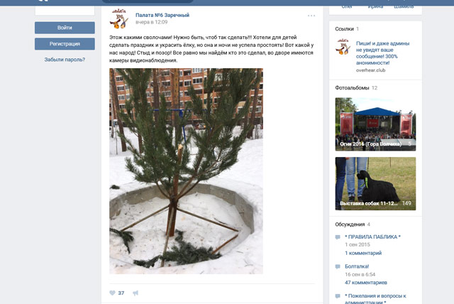 Новый День: В Заречном вандалы украли новогоднюю елку во дворе жилого дома (ФОТО)