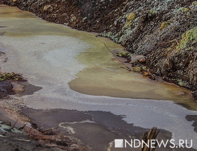 Ученые нашли способ избавиться от зеленого снега в Первоуральске