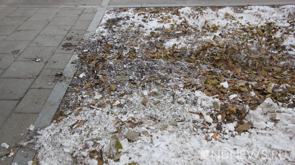 Новый День: Да так даже лучше! – подрядчик объяснил зазоры и трещины в тротуаре на Ленина (ФОТО)