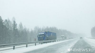 ГИБДД просит водителей отказаться от поездок из-за сильного снегопада