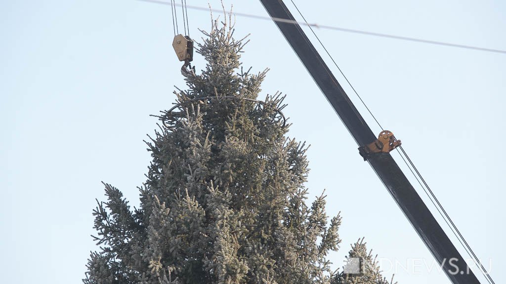 Новый День: В Екатеринбурге установили главную новогоднюю елку (ФОТО)