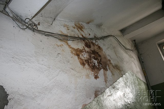 Коммунальный триллер: в Челябинске не признают ветхо-аварийным дом, в котором рушатся стены, проваливаются полы, а вода льет изо всех щелей (ФОТО, ВИДЕО)