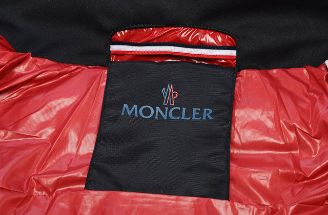 Новый Регион: Всемирно известный бренд MONCLER растащил на пух и перья гусей (ФОТО, ВИДЕО)