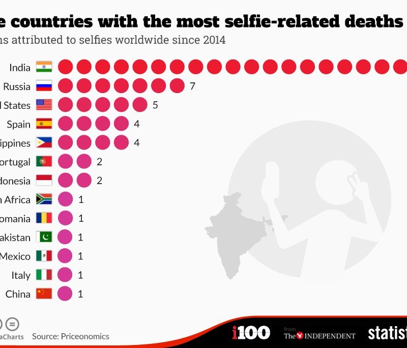 Новый Регион: Россияне отличились количеством смертельных селфи (инфографика)
