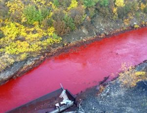 «Норникель» сознался в загрязнении реки солями железа