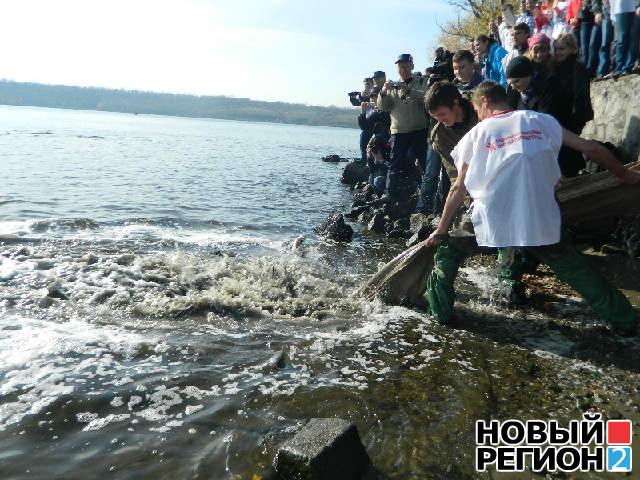 Новый Регион: В Запорожье во время субботника на дне Днепра нашли унитаз (ФОТО)