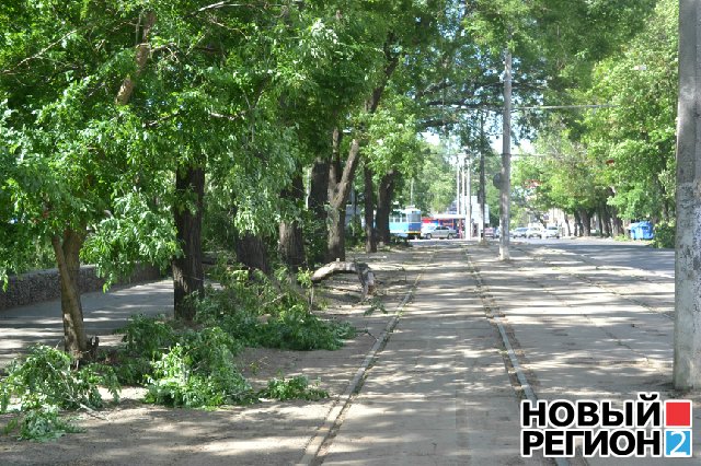 Новый Регион: Одесса вторые сутки в нокауте после урагана – власти беспомощны (ВИДЕО, ФОТО)