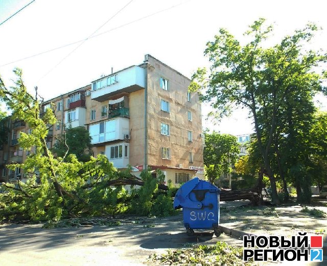 Новый Регион: Ночной ураган в Одессе сломал тысячи деревьев и парализовал транспорт в городе (ВИДЕО, ФОТО)