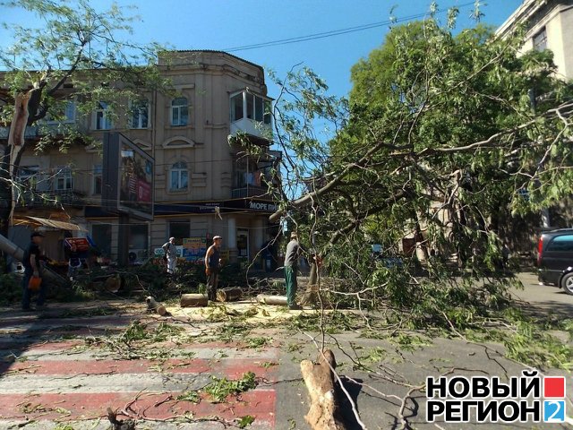 Новый Регион: Ночной ураган в Одессе сломал тысячи деревьев и парализовал транспорт в городе (ВИДЕО, ФОТО)