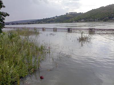 Новый Регион: В Рыбницком районе уровень воды в Днестре превысил критическую отметку