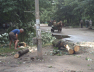 Новый Регион: От сильной грозы пострадали несколько населенных пунктов Каменского района (ФОТО)