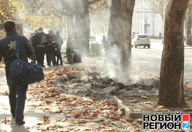 Новый Регион: Коммунальные службы Тирасполя не справляются с вывозом опавшей листвы (ФОТО)