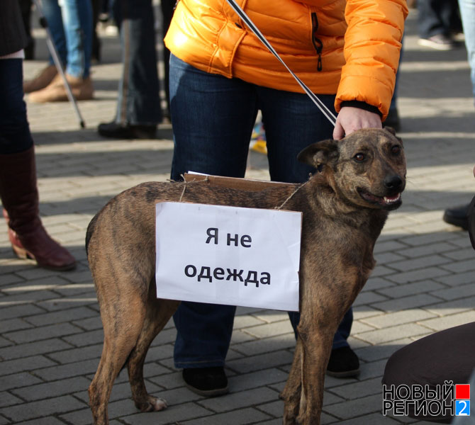 Спаси жизнь – откажись от шубы (ФОТОРЕПОРТАЖ) / В Челябинске прошел Антимеховой марш