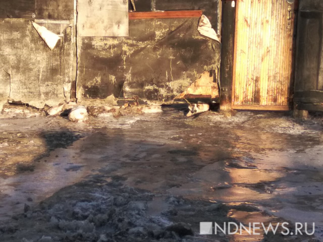 Коммунальная авария на Татищева – жители второй день откачивают воду из затопленных подвалов (ФОТО)