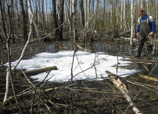 Кислотные гейзеры и мертвая река, – ученые установили источники загрязнения Северского пруда в Полевском (ФОТО, ВИДЕО)