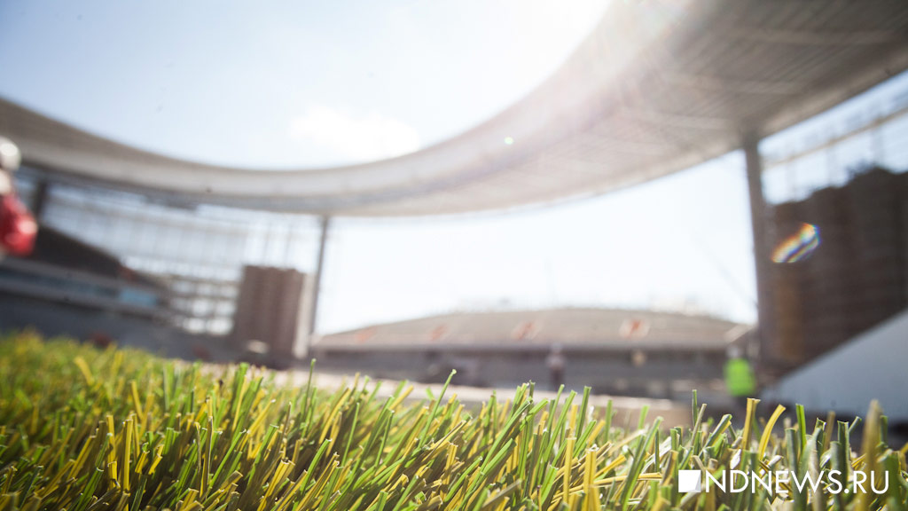 На Центральном стадионе рассыпали 400 кг голландской травы (ФОТО)