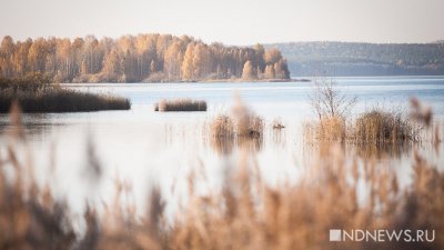 Генпрокуратура проверила все водоемы в УрФО и не нашла ни одного чистого