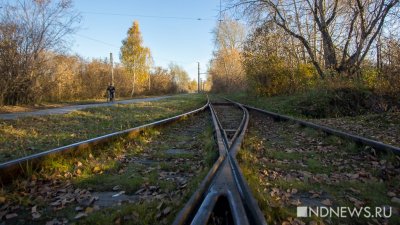 Орлов утвердил проект трамвайной линии до Широкой Речки