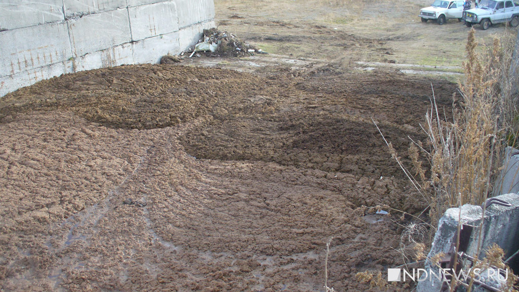 Птицефабрика «Среднеуральская» вывезла в невьянское село тысячи тонн токсичных отходов (ВИДЕО, ФОТО)
