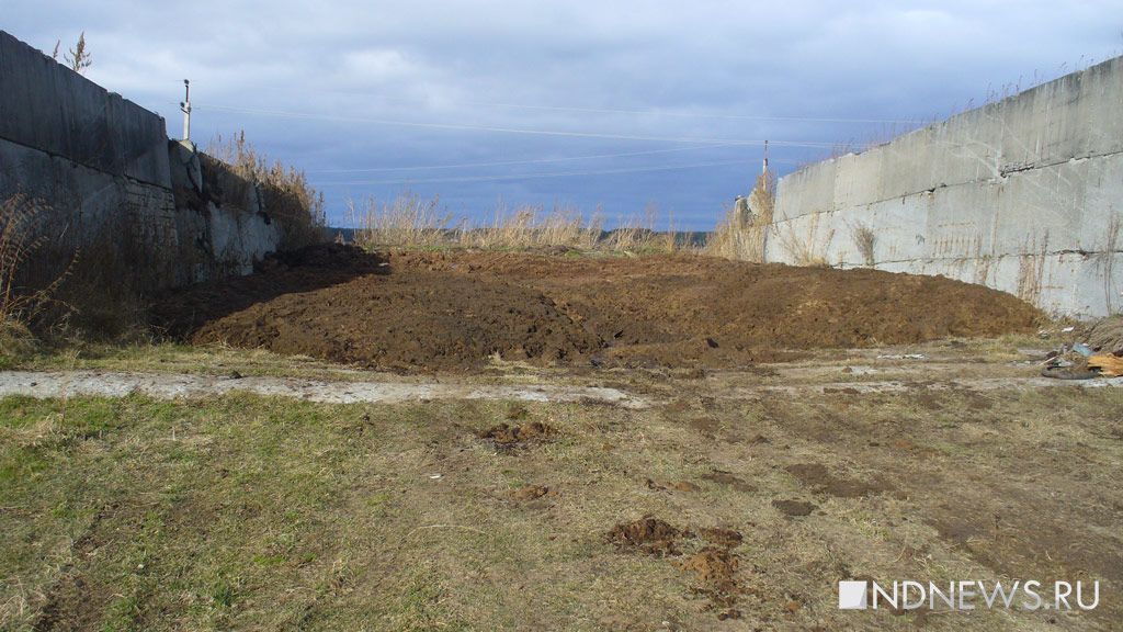 Птицефабрика «Среднеуральская» вывезла в невьянское село тысячи тонн токсичных отходов (ВИДЕО, ФОТО)