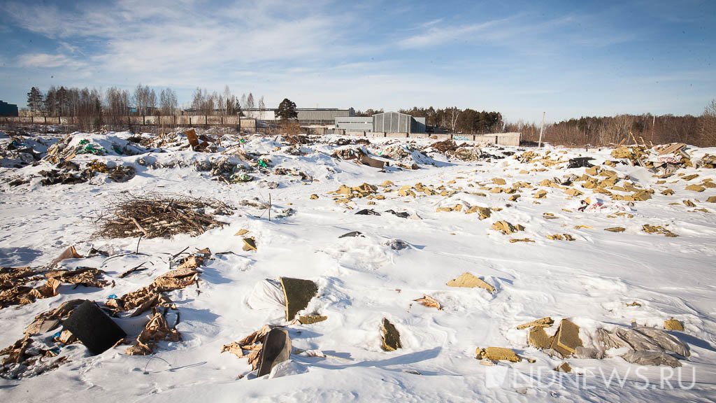 Мэрия, МУГИСО, мусорный оператор: кто уберет гигантские кучи мусора на бесхозных землях (ФОТО)