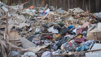 Жители Ярославской области в панике: Москва хочет отправить свой мусор соседям