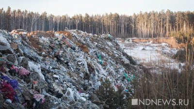 Западу Свердловской области грозит мусорный коллапс – стройка полигона и сортировки под вопросом