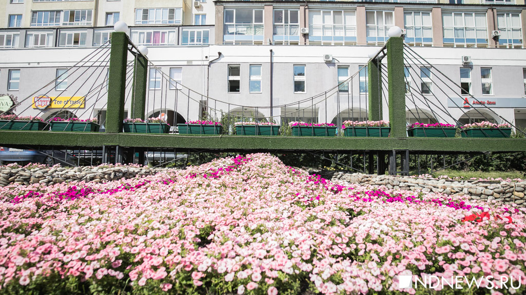В Екатеринбурге выбирают лучшие цветочные клумбы – в тренде «морские волны» (ФОТО)