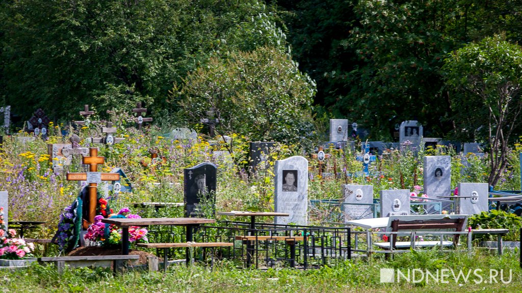Кого – в камеру с клопами, кого – на кладбище, и кто прав: итоги недели (ФОТО, ВИДЕО)