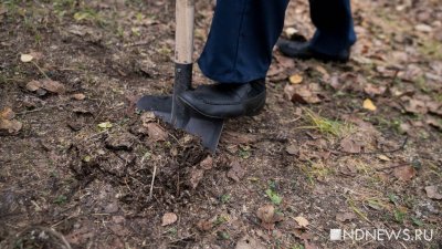 Кто и как может поехать на дачу: для жителей Курганской области написали памятку