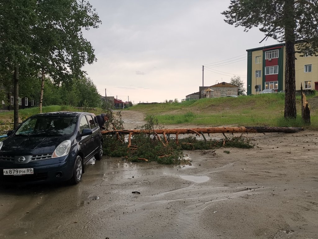 На Ямале шторм обесточил два поселка и сорвал крыши с домов